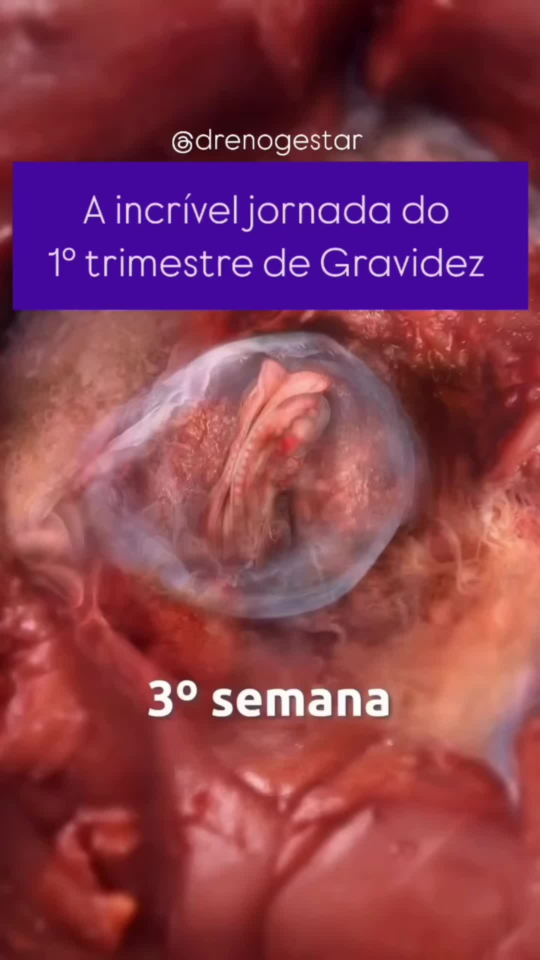 @Luciana Pinheiro