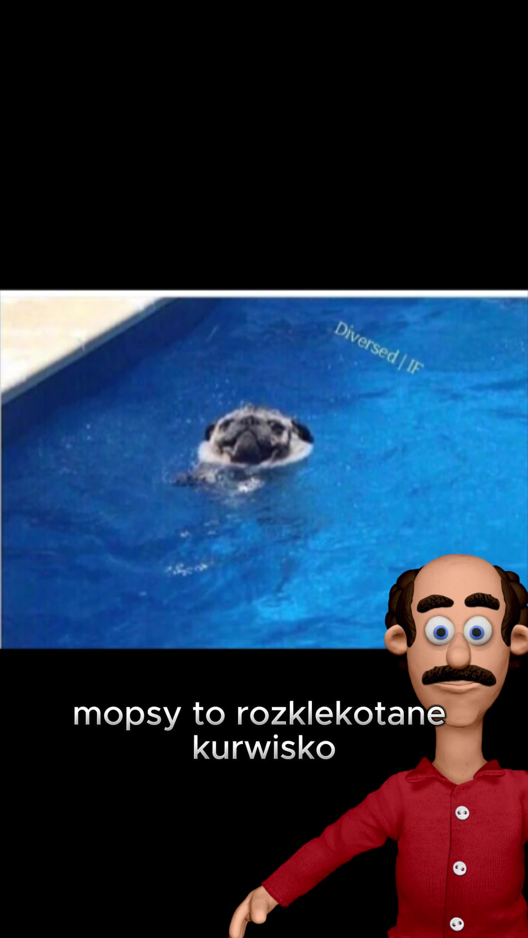 @romek.psiarz