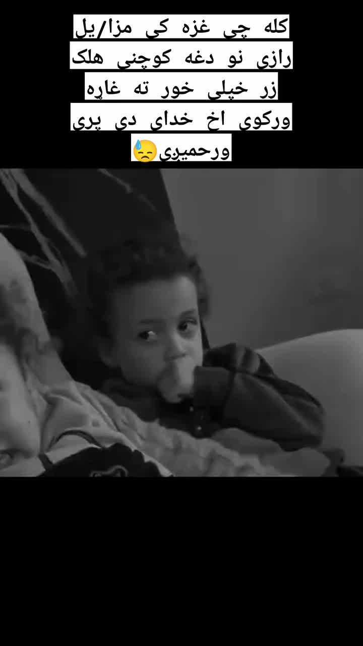 @almaskotwal46🇦🇫