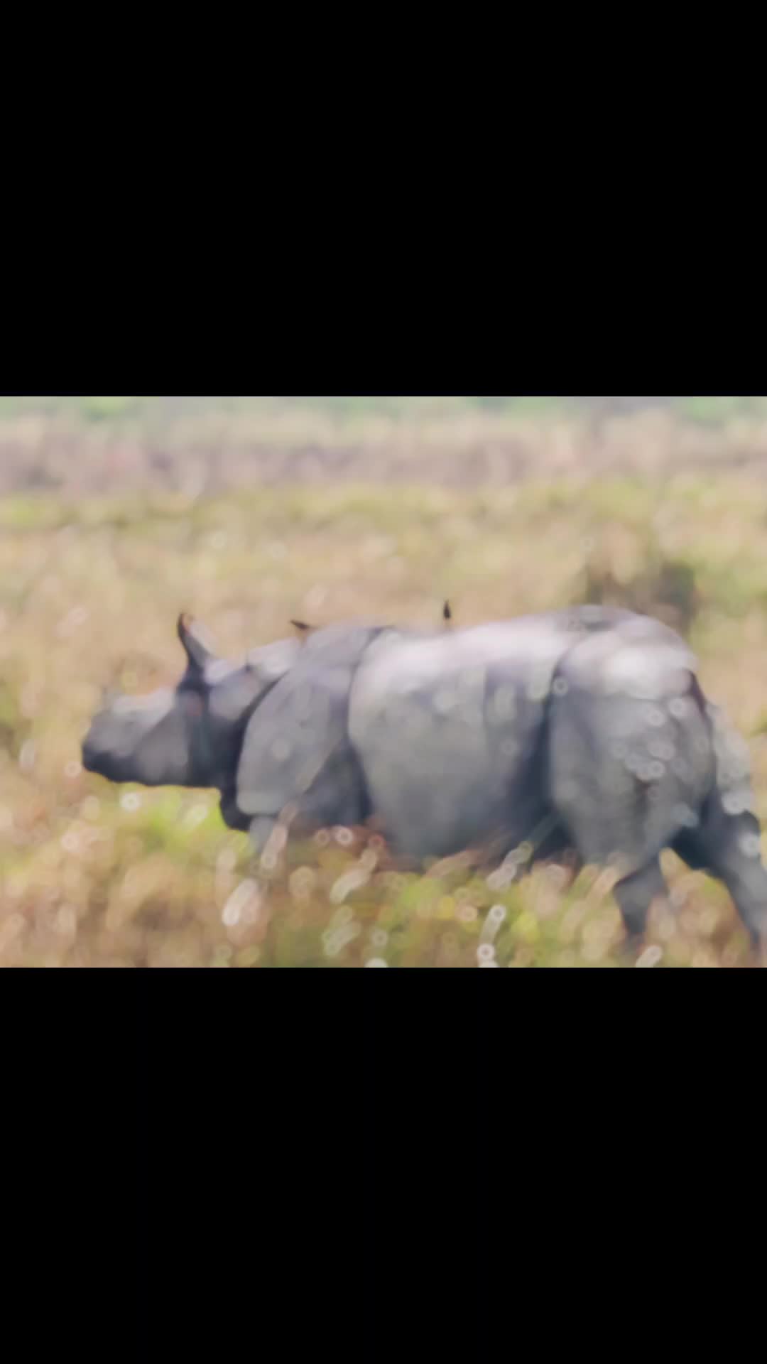 @Mohanasundaram Sinniah