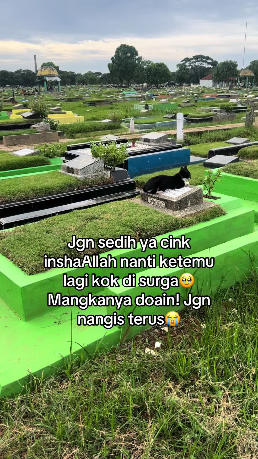 @Haqhaqcatsnfams