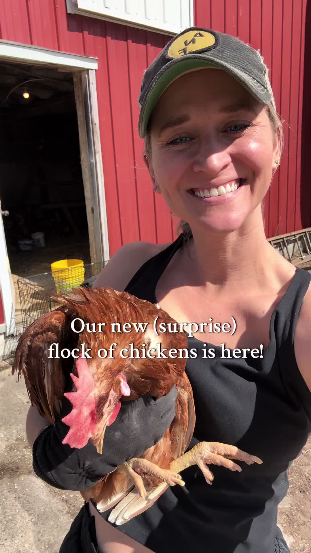 @Chelsea Jo | SUNNY ACRES