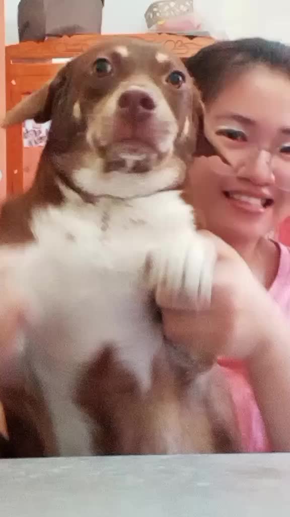 @YamKoGirlfriend