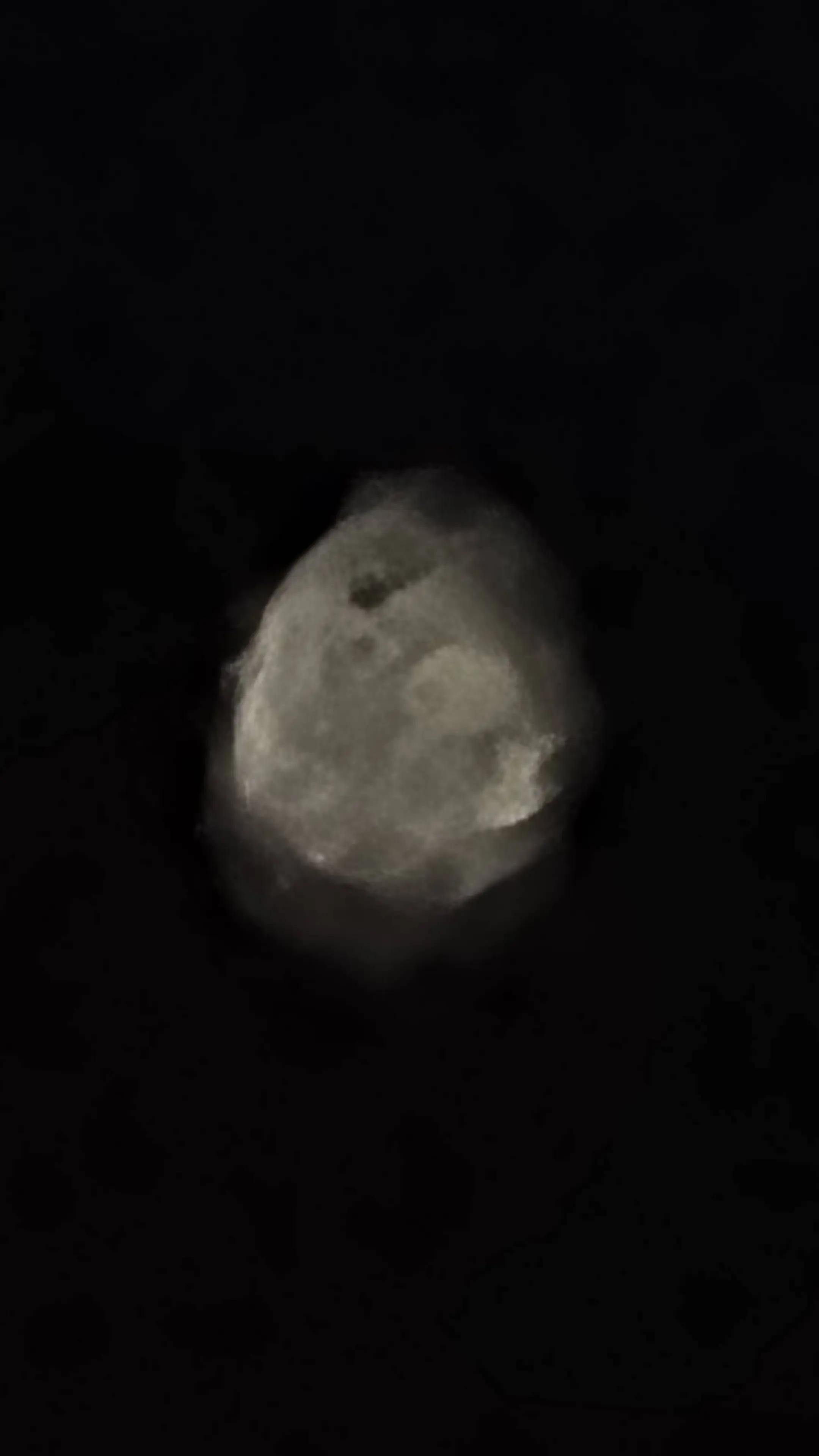 @ufo_artemis