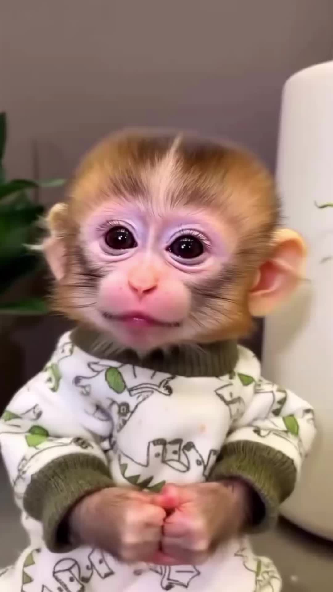 @Chillypepper252