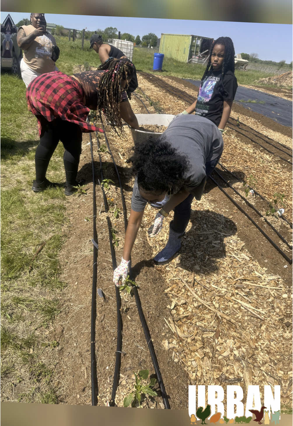 @Urban Dallas Farm