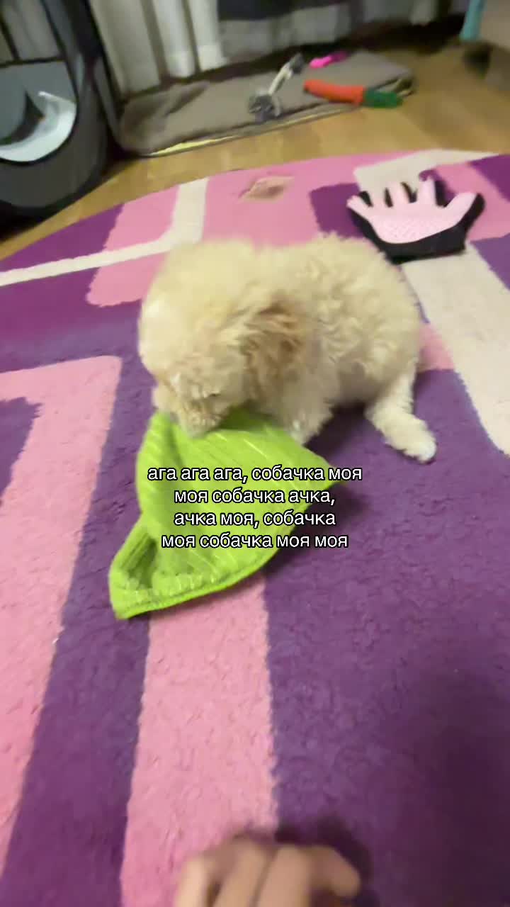 @лена пневма