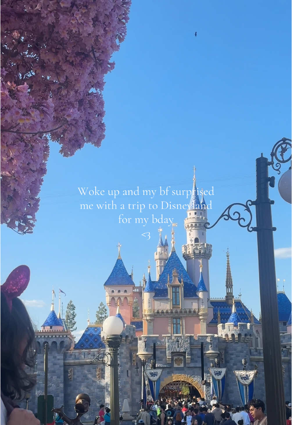 @Amanda 🌷🌟