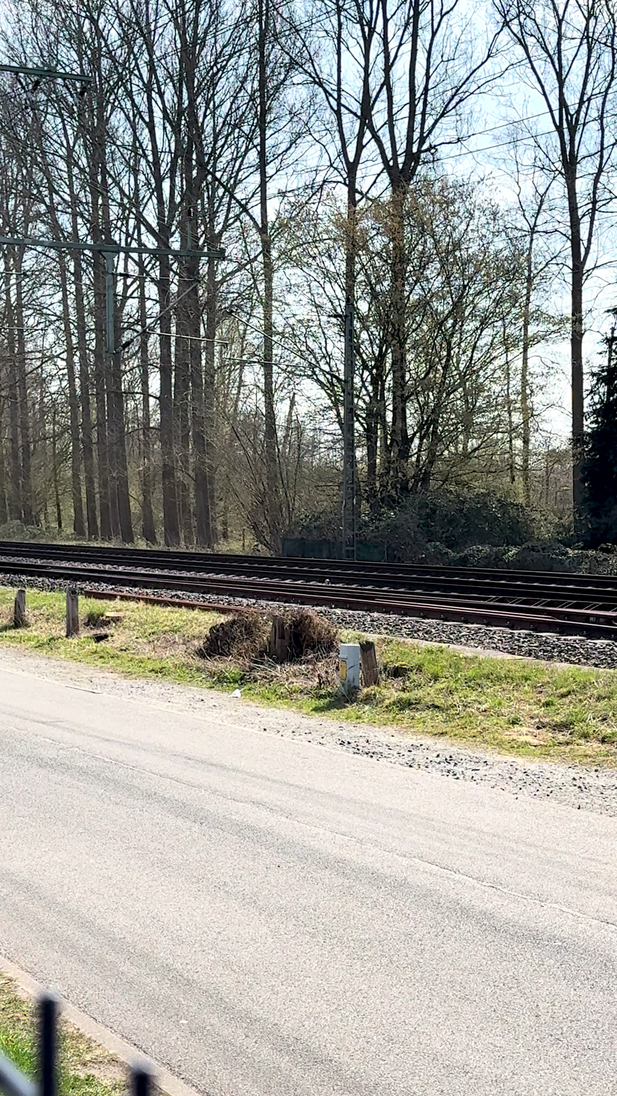 @Hartmut Pflantz