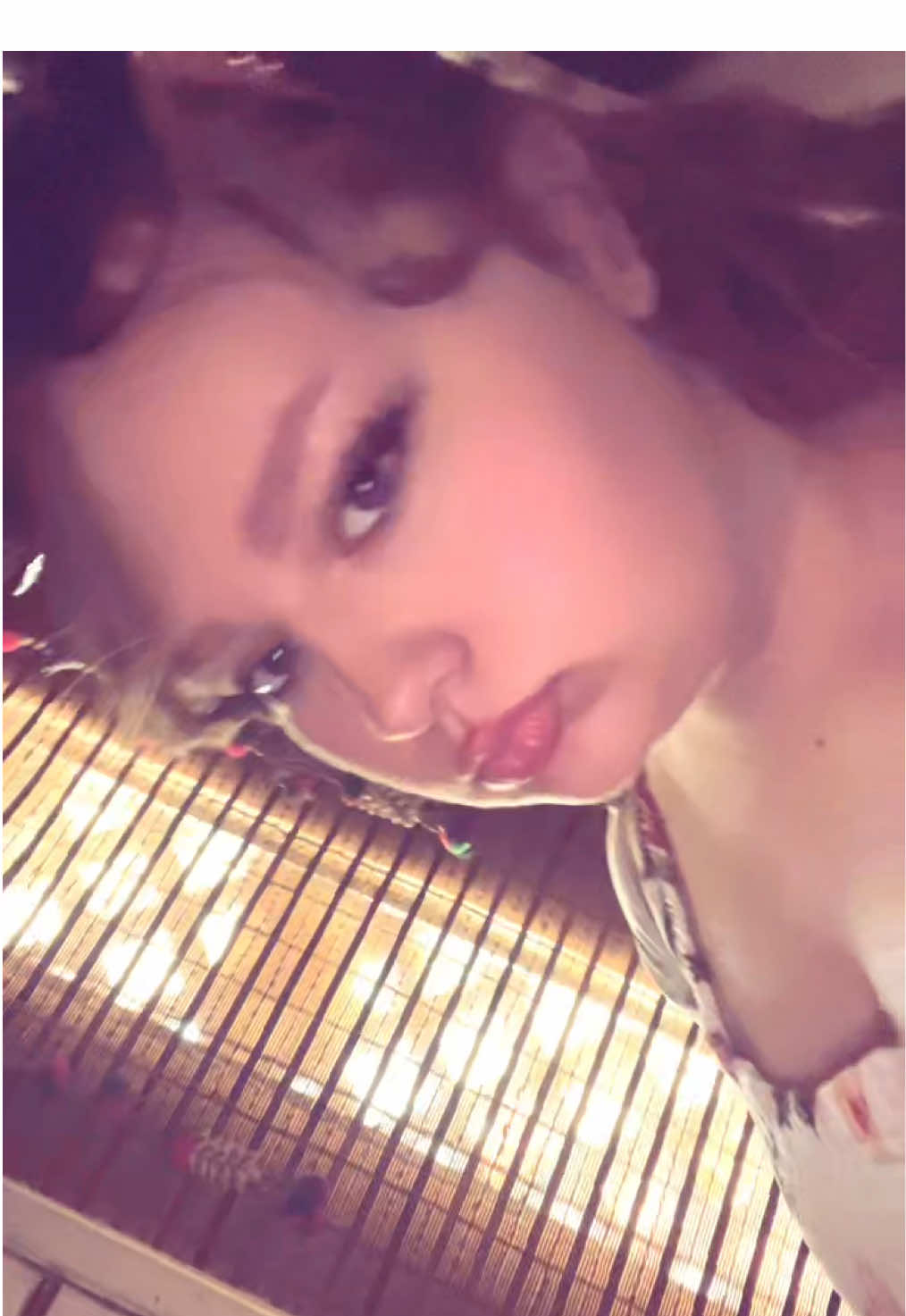@leiaa