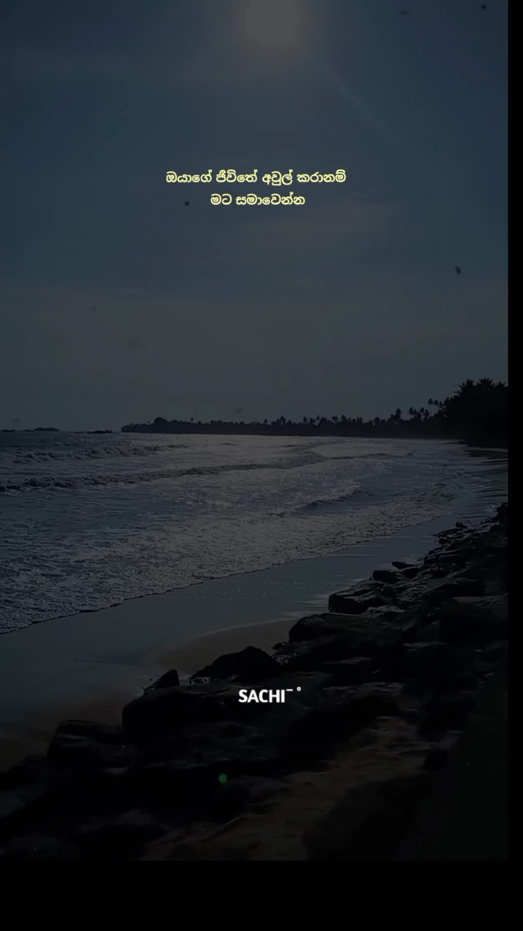 @𝙈𝙍 . 𝙎𝘼𝘾𝙃𝙄 :◉༒◉