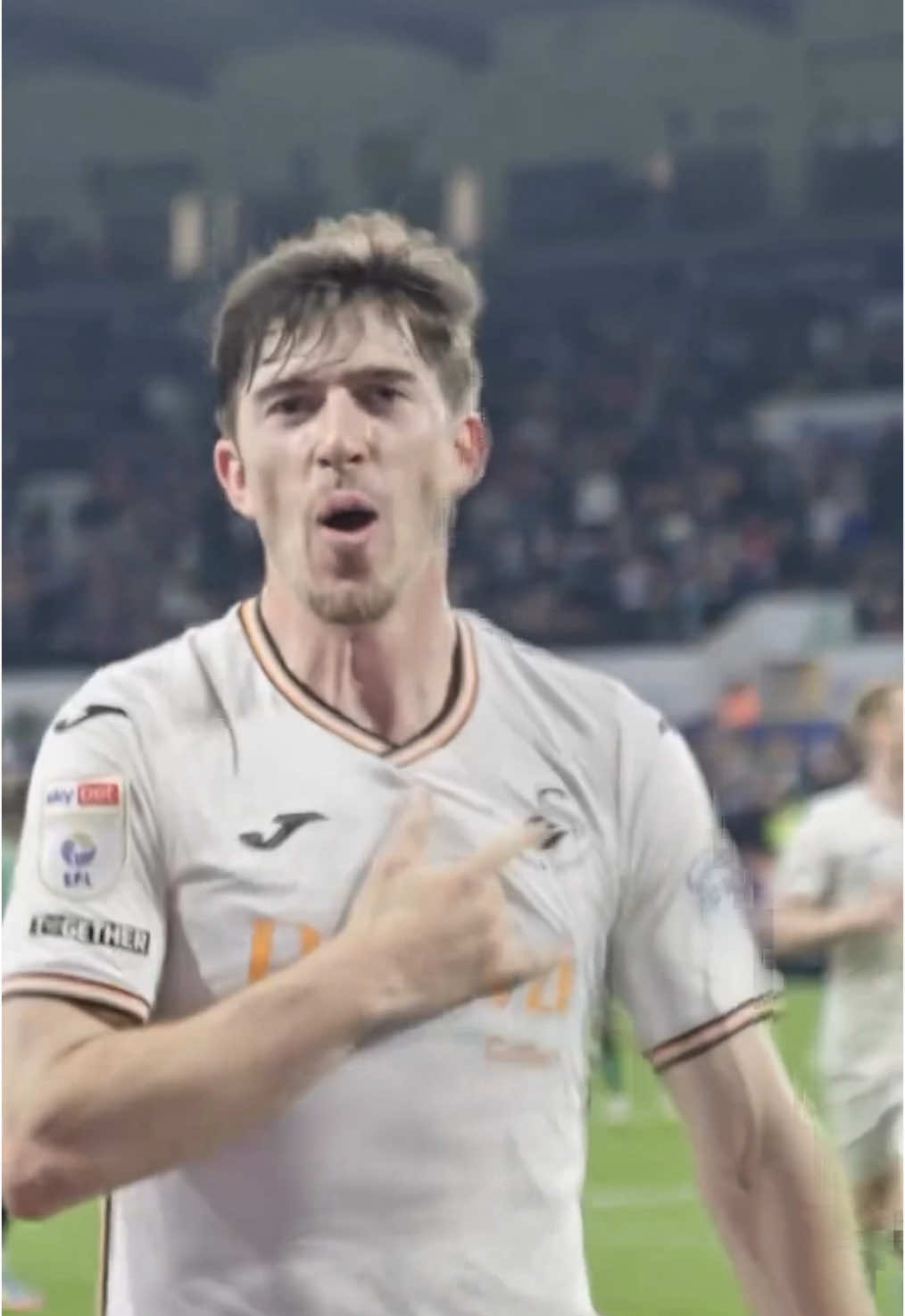 @SuperbSwans