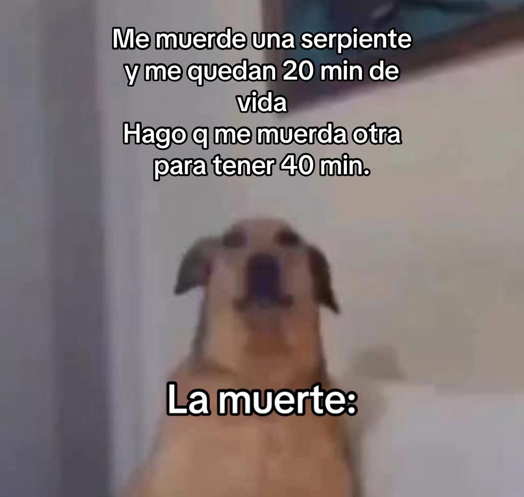 @Oso1819