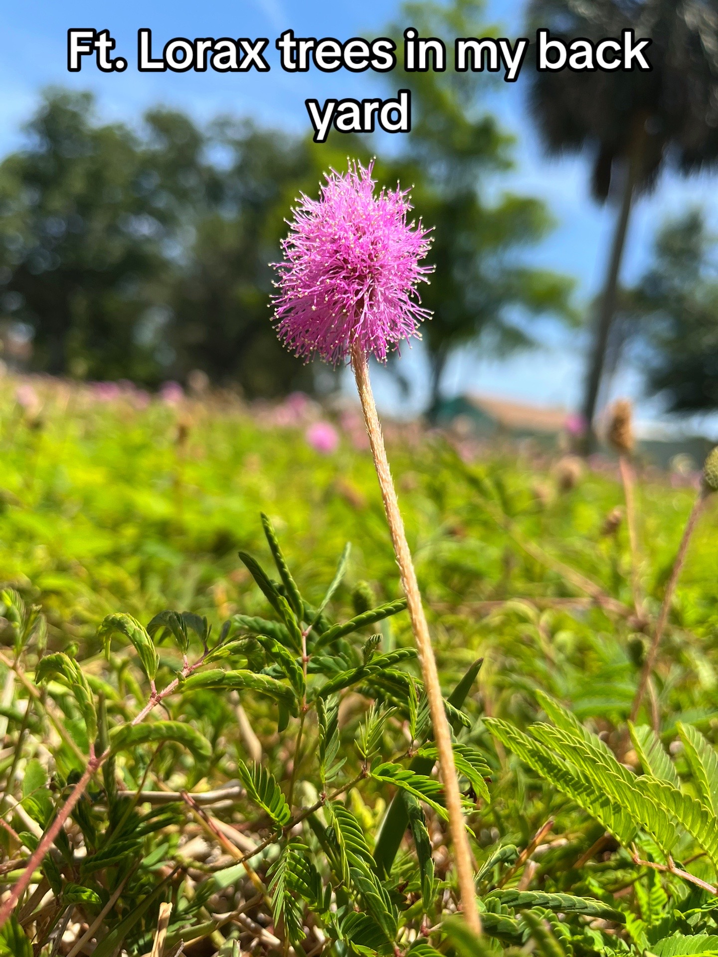 @𝔾𝕖𝕟𝕖𝕤𝕚𝕤