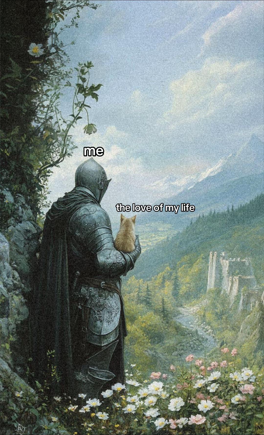 @⋆˚🐾˖°