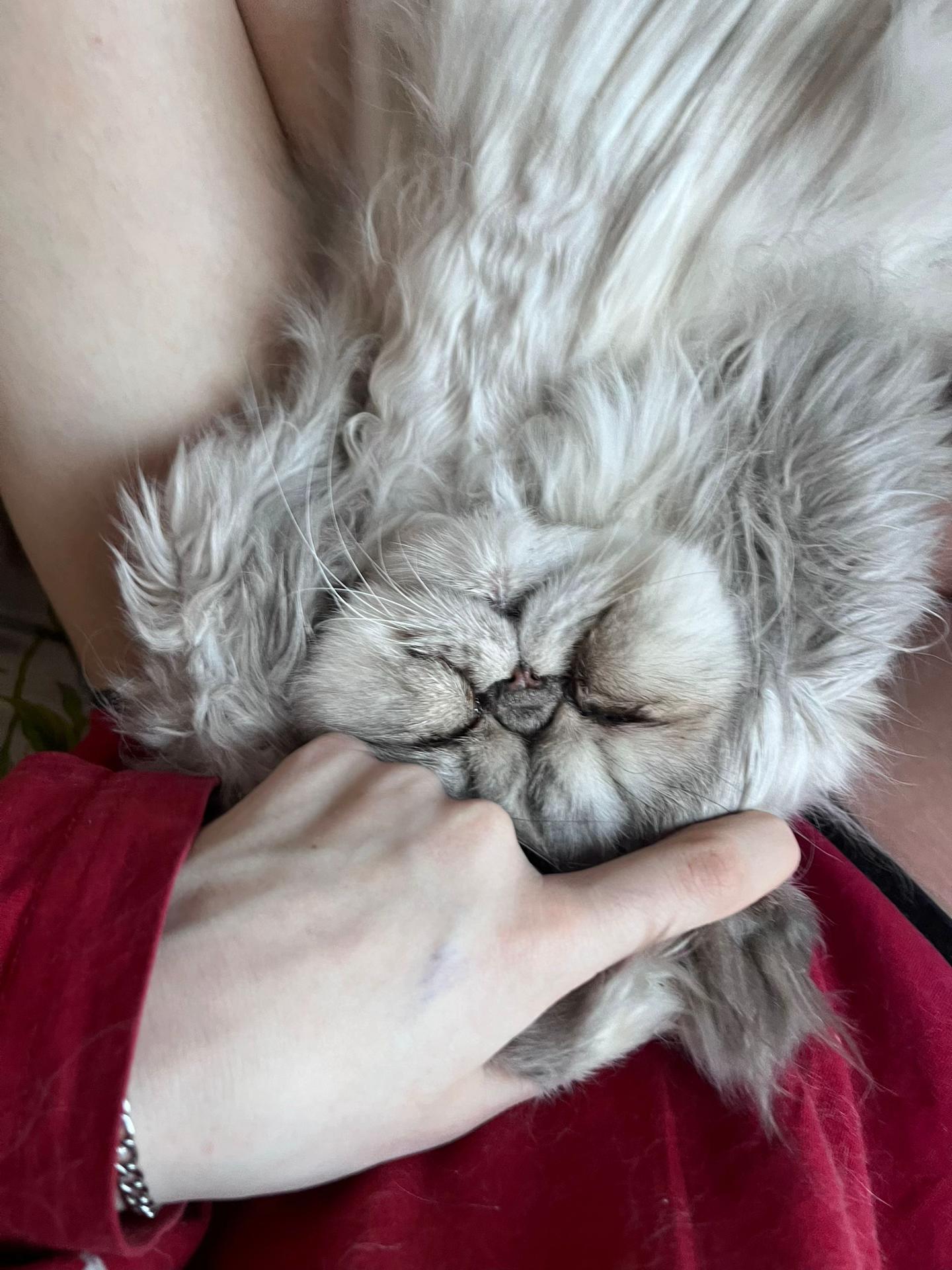 @линанапас