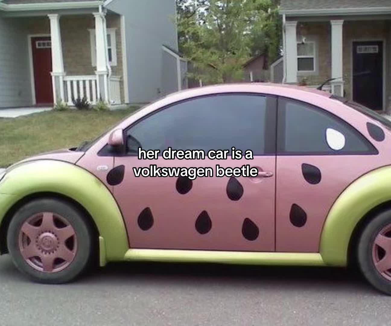 @🐆