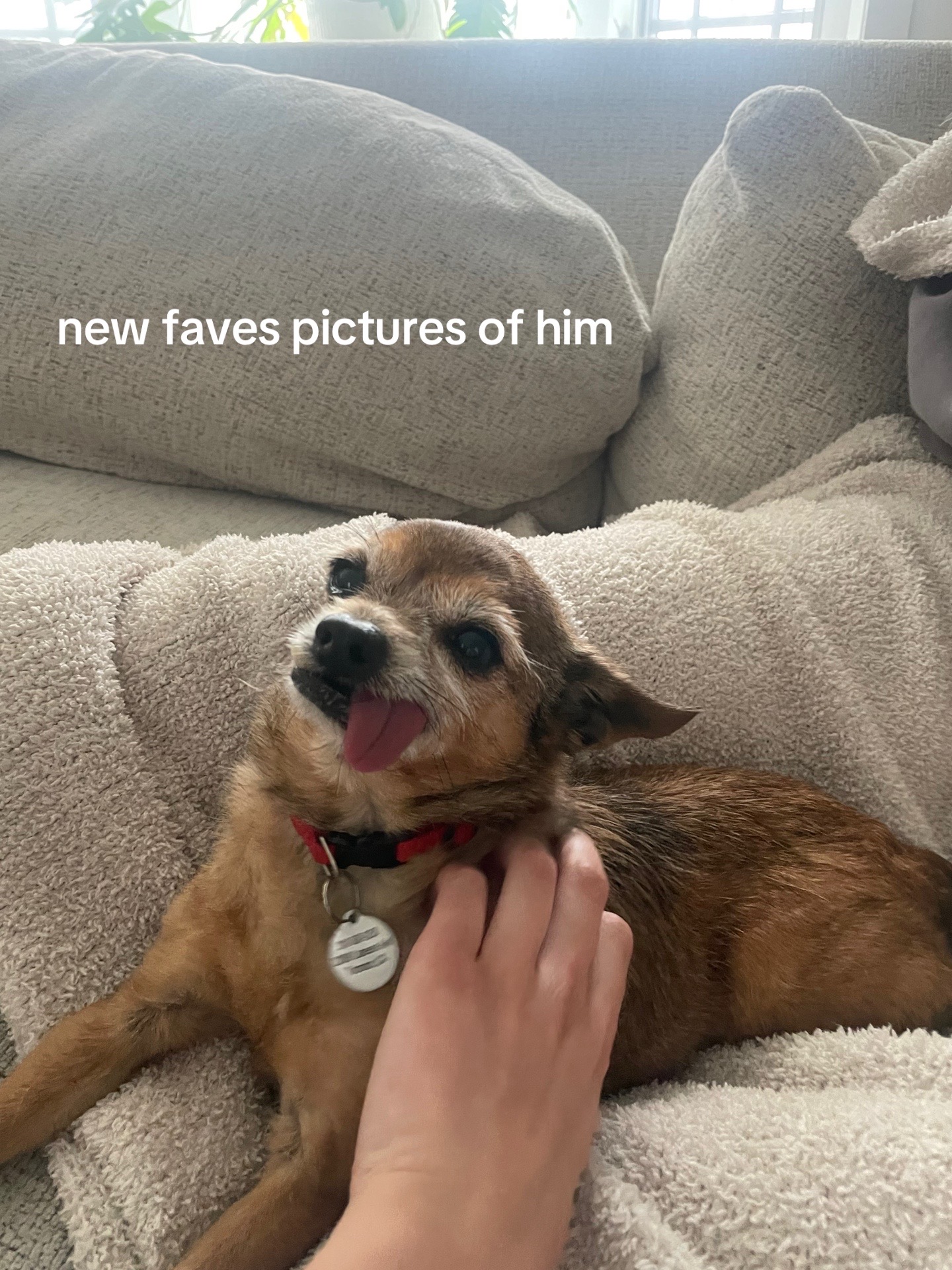 @choochee