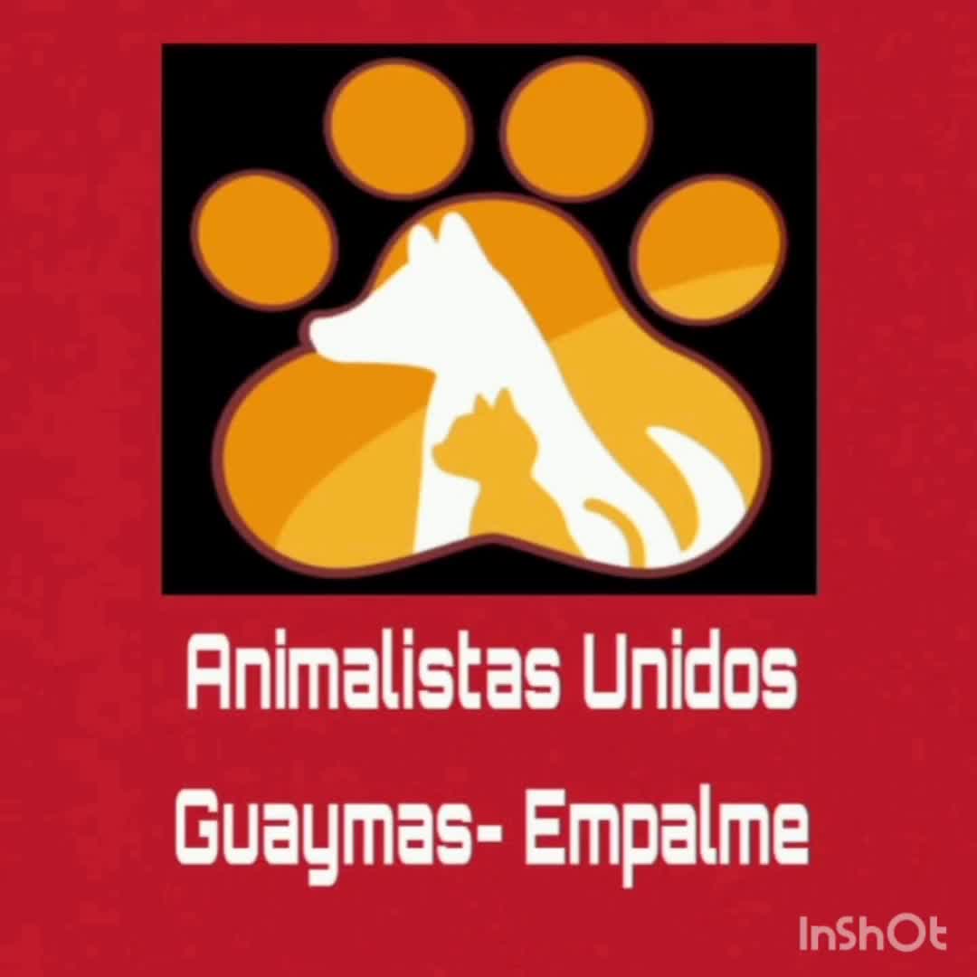 @Animalistas Unidos GymsEmp