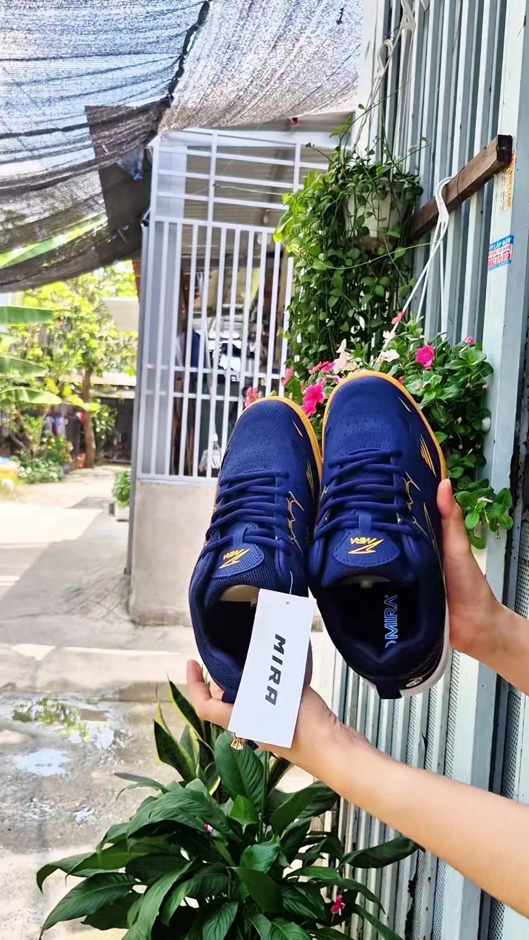 @Hang 81