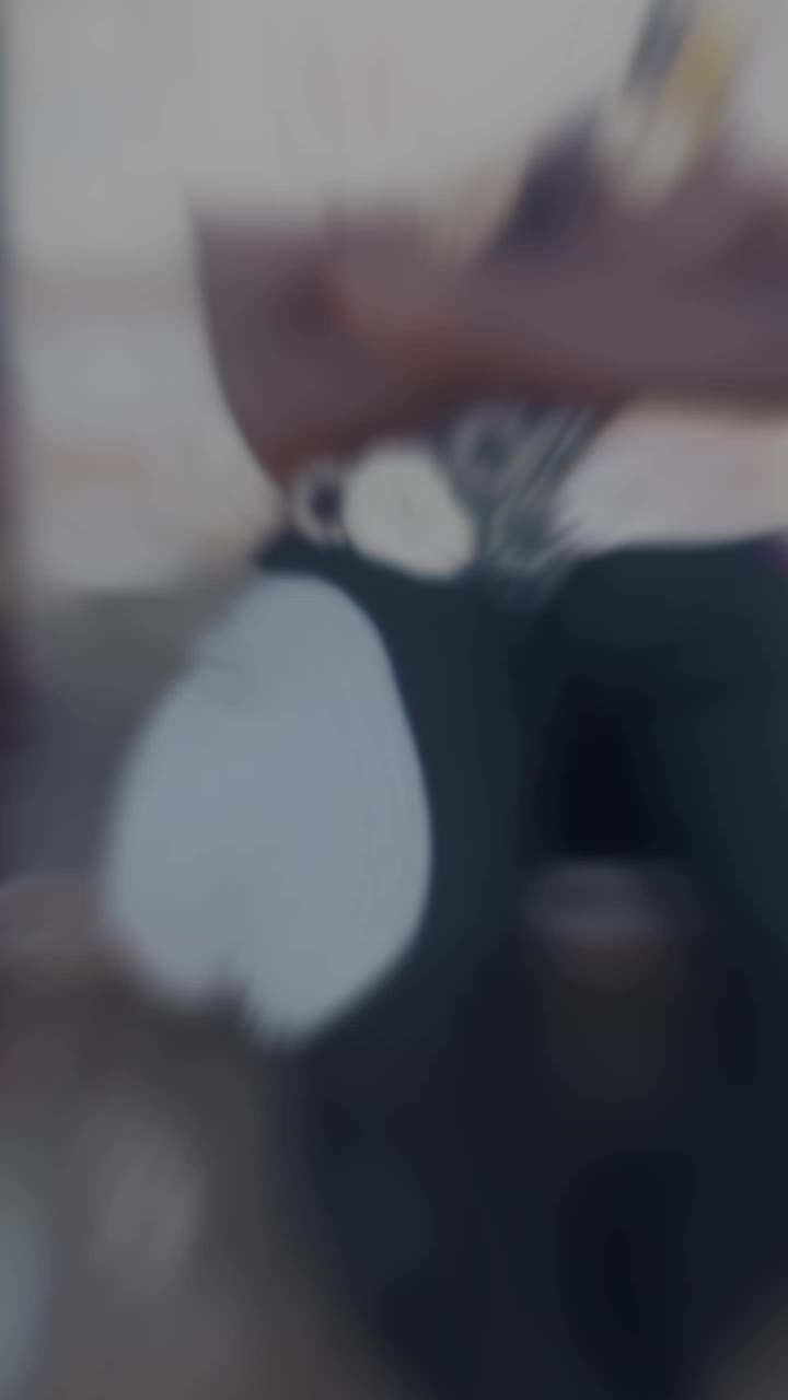 @emma jila