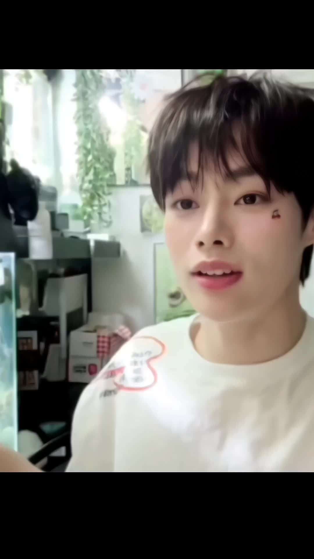 @Happy Melody