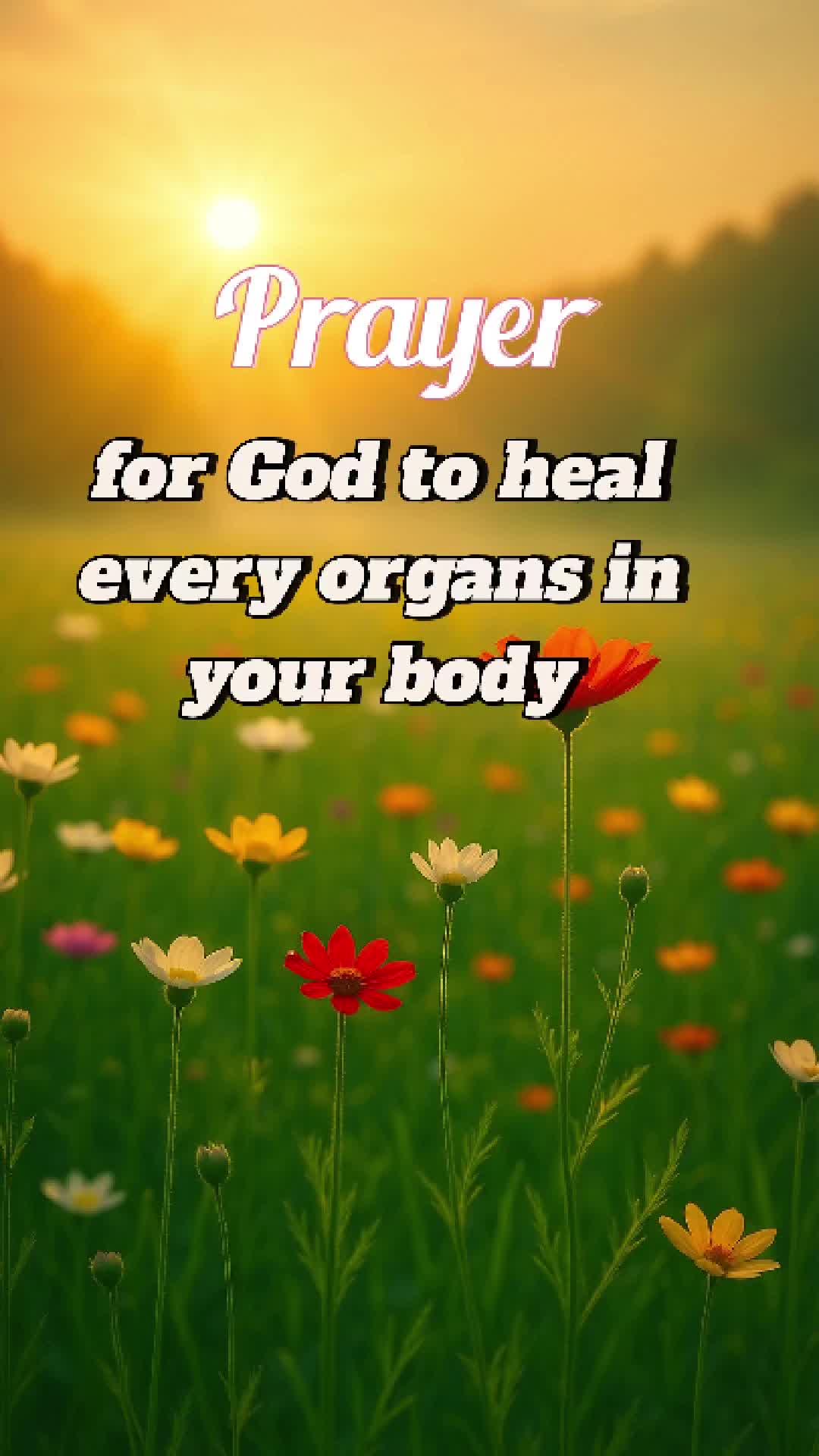 @The Gospel for You