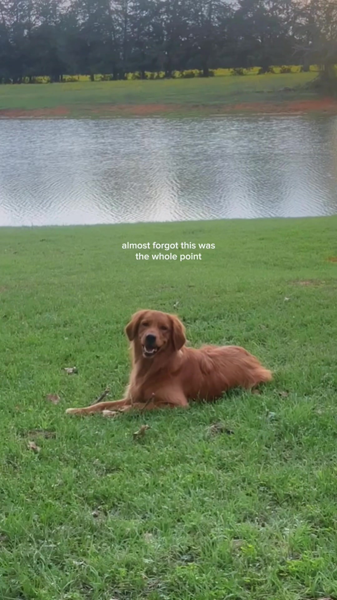 @Lrichy$