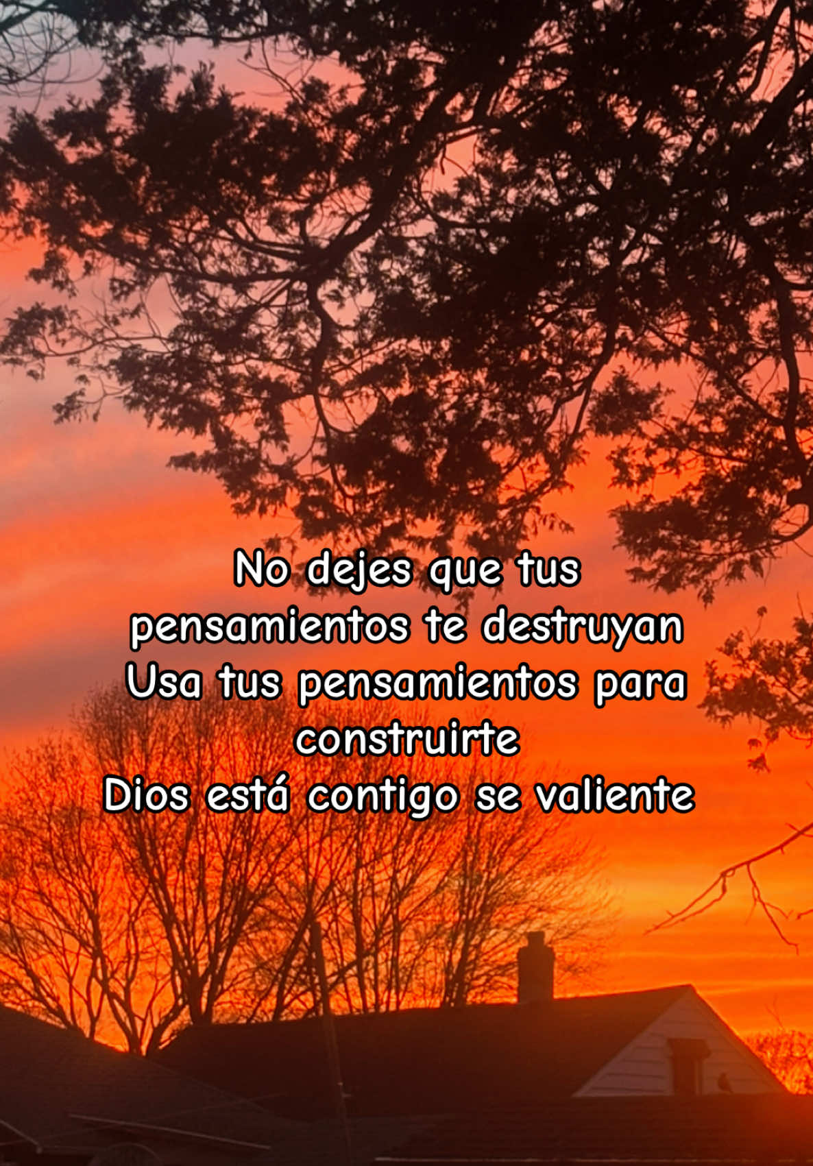 @Resilencia