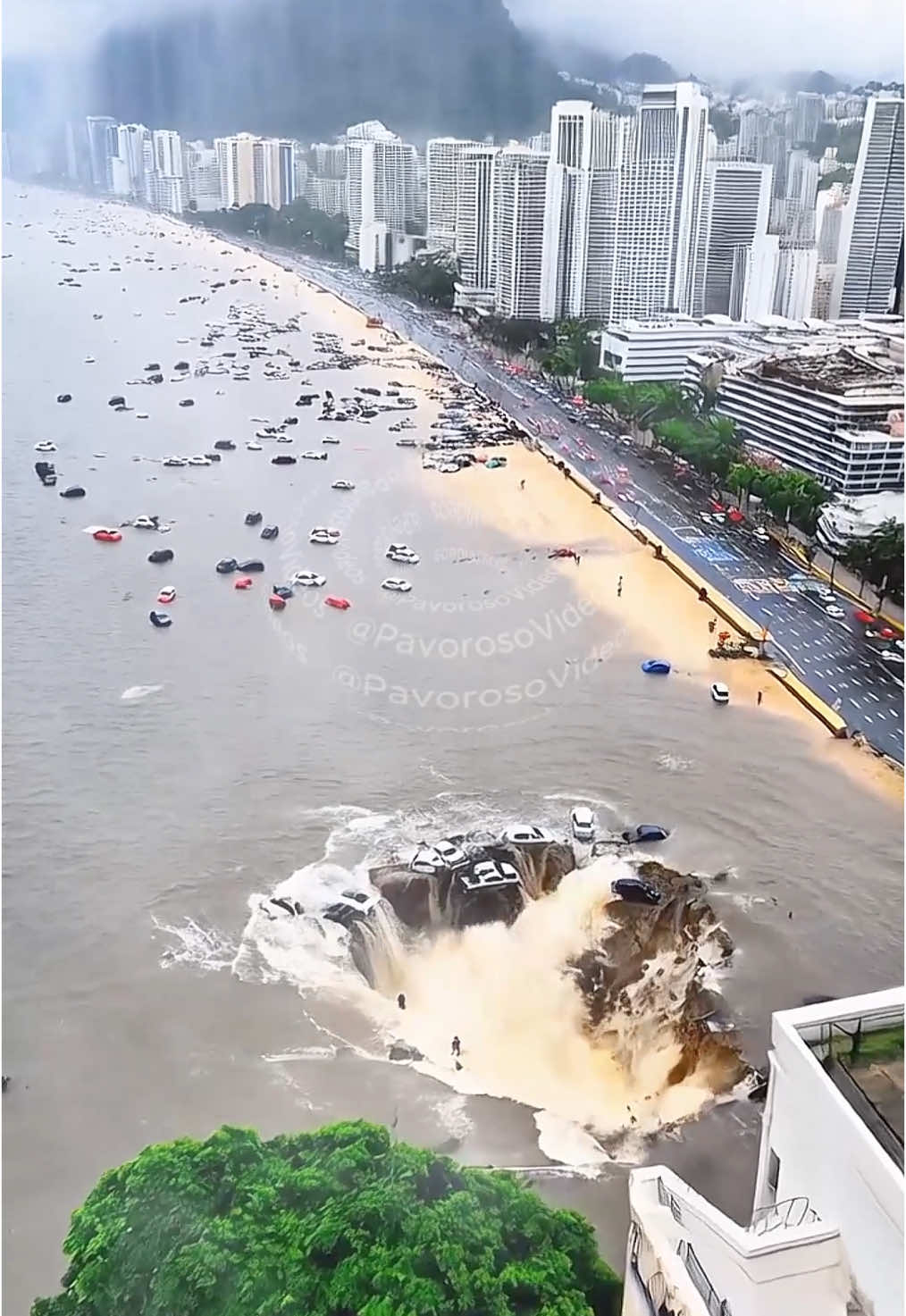 @PAVOROSO🌊