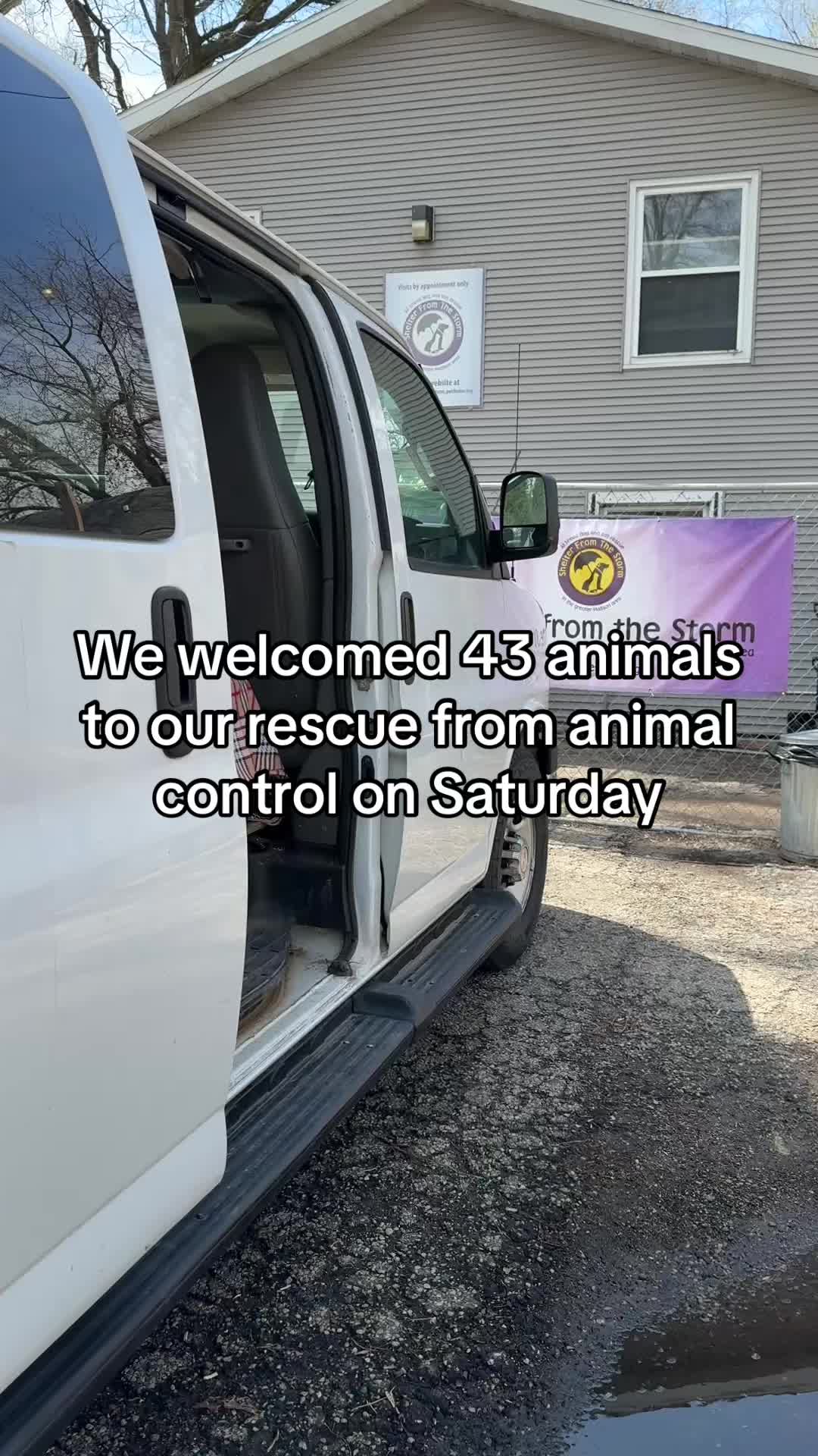 @sftsanimalrescue