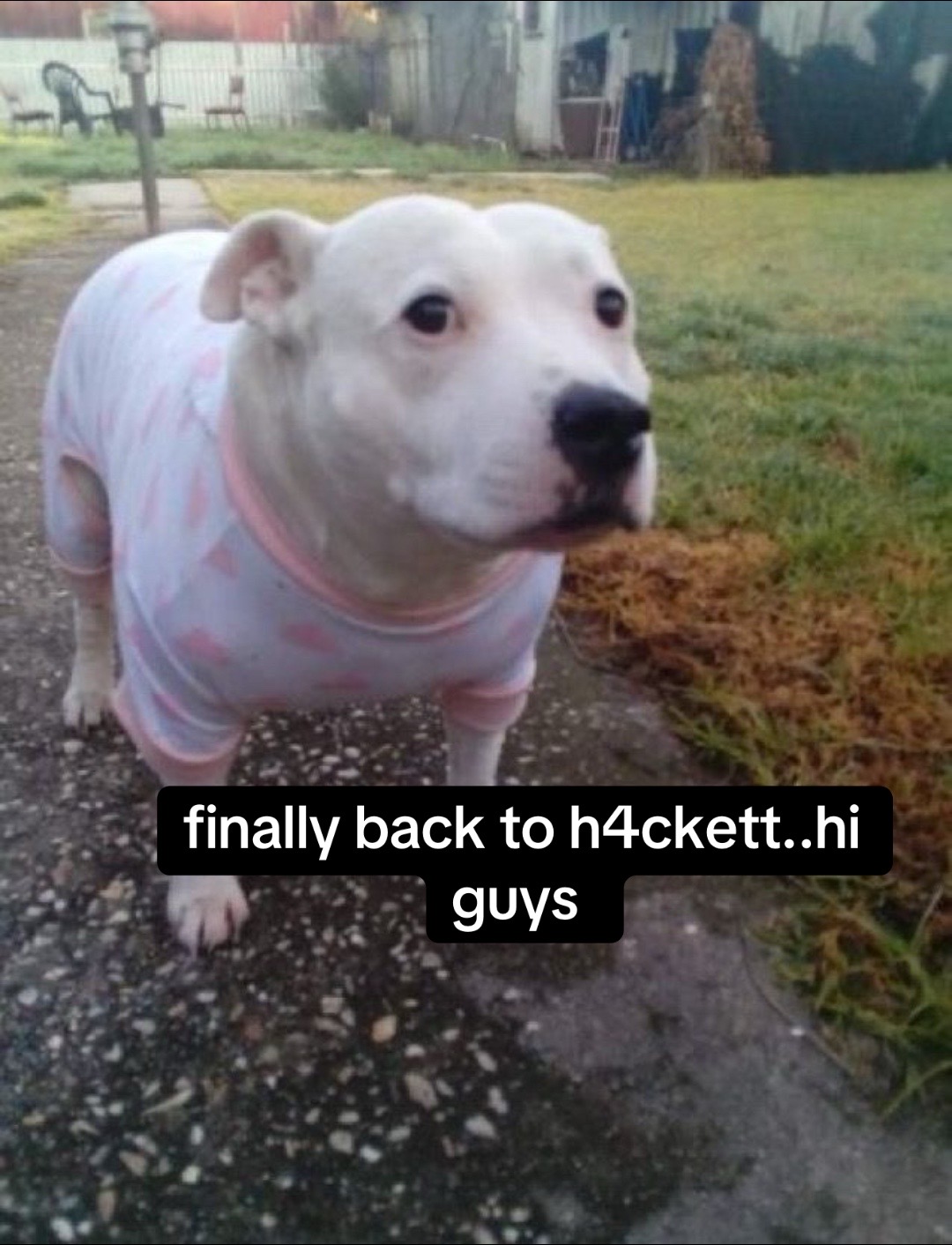 @HACKETT