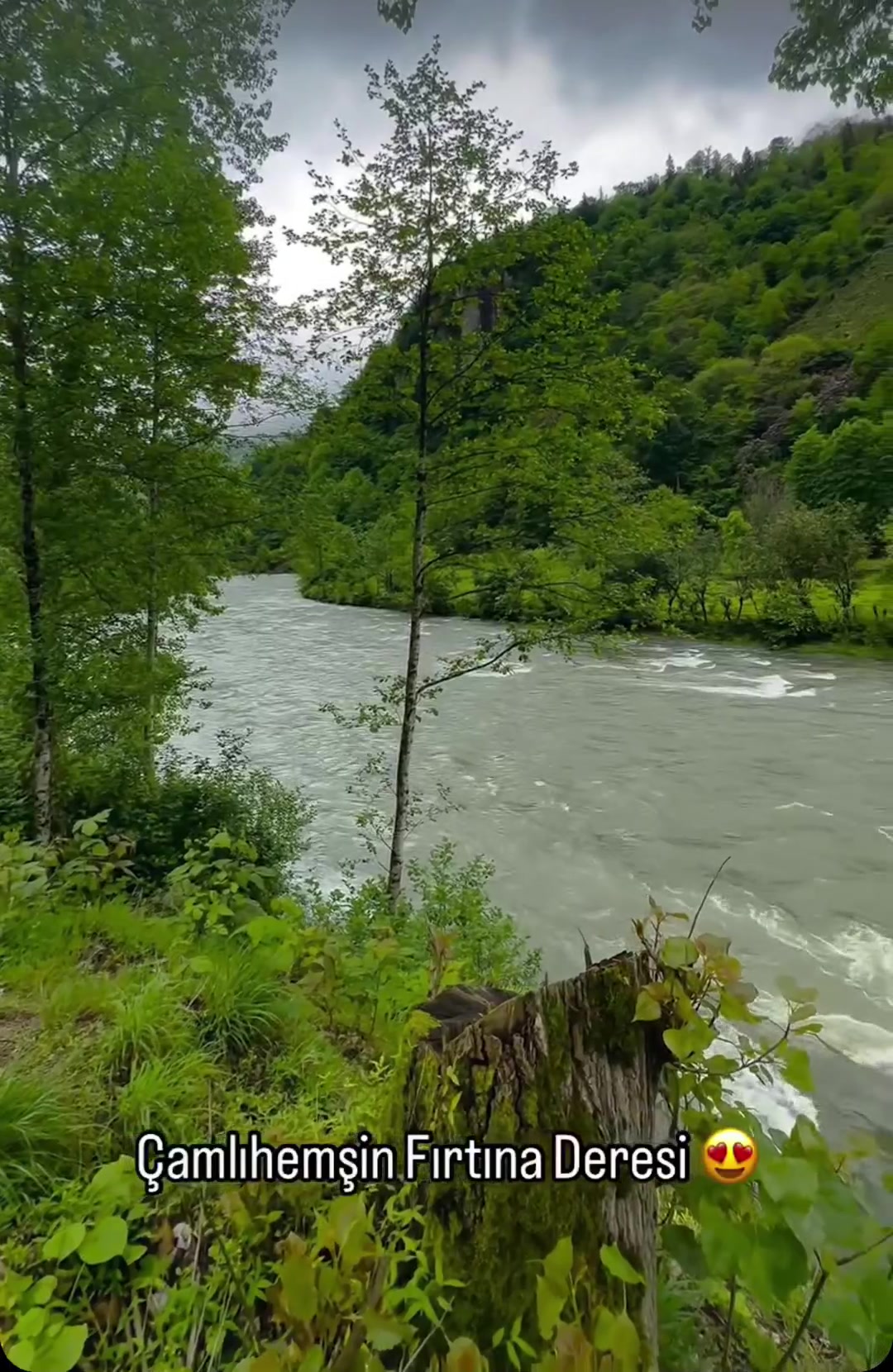 @ORDU'NUN ASİ KIZI