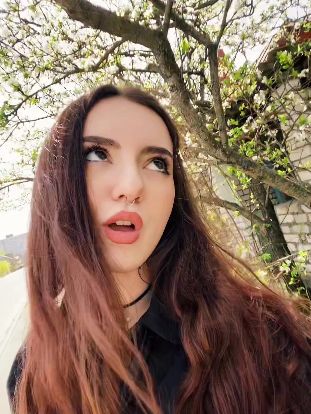 @╋━