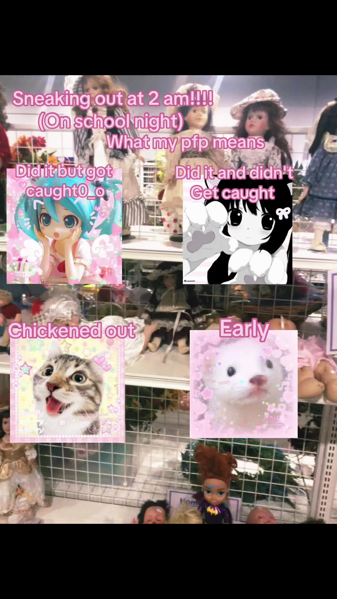 @Nyan.site🐾🥩🍮
