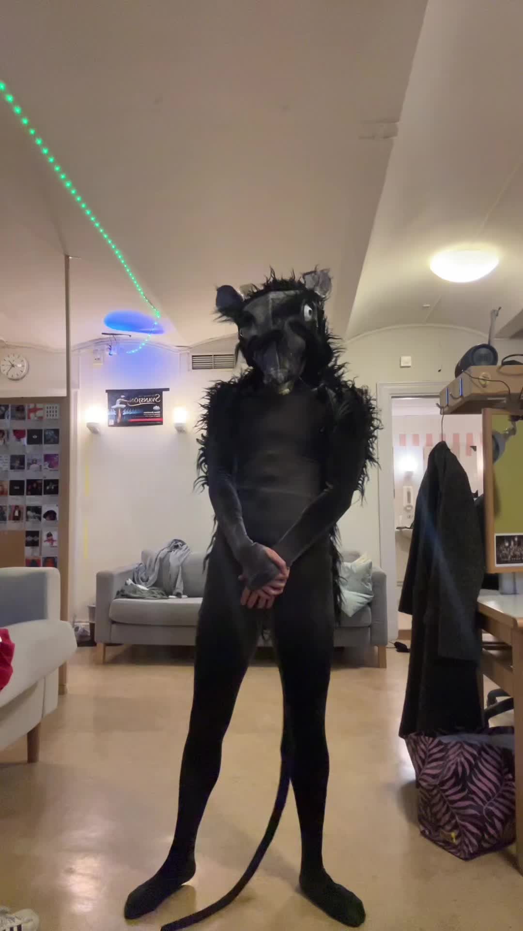 @mr_rat_official_