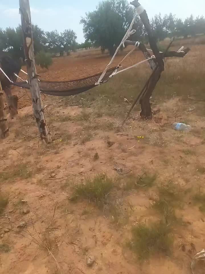 @luuux_hsan🇧🇷.🇹🇳