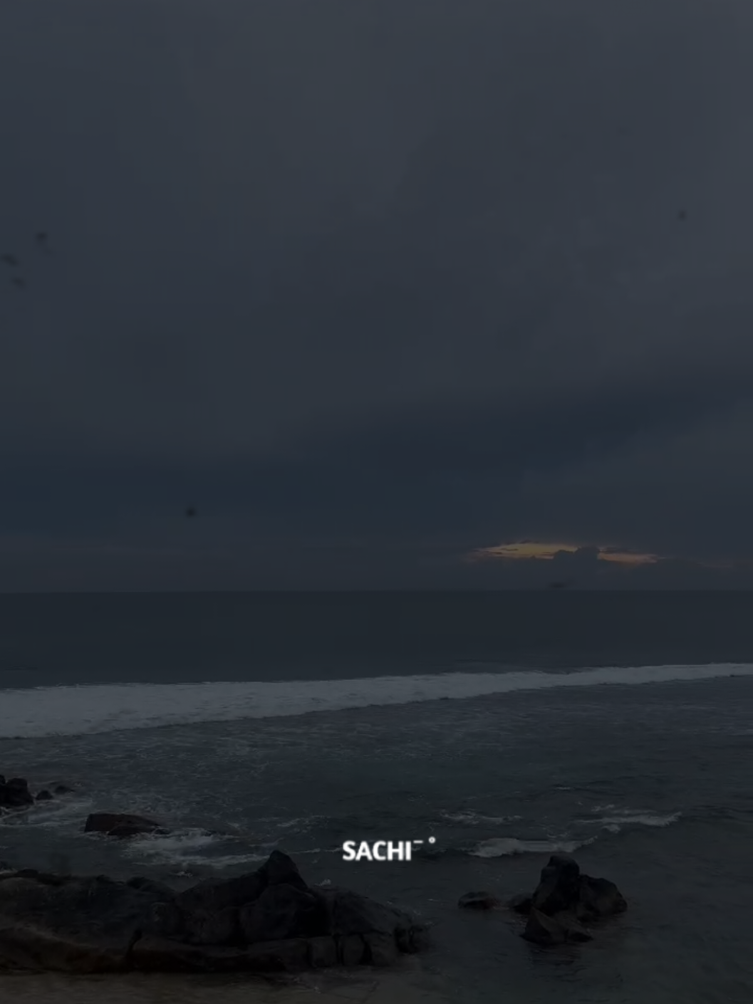 @𝙈𝙍 . 𝙎𝘼𝘾𝙃𝙄 :◉༒◉
