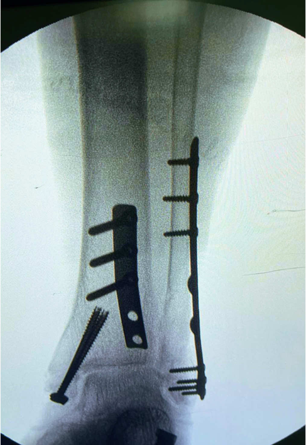 @Anatomias