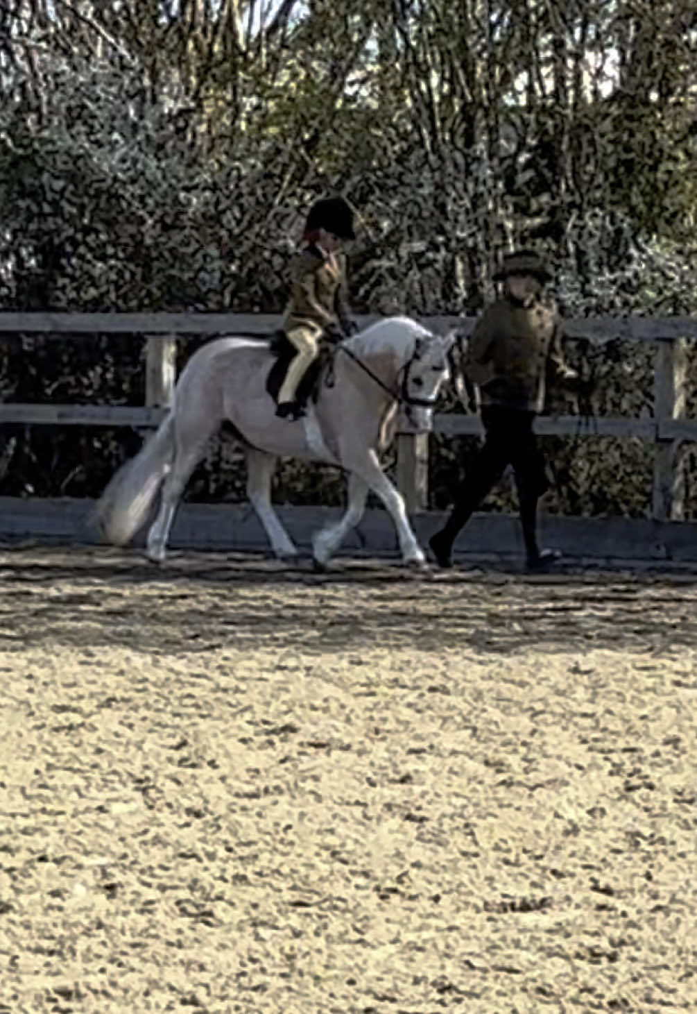 @Simmonds Show Team