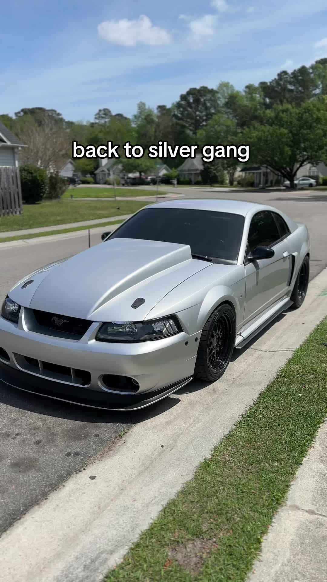 @nickbaerwolf
