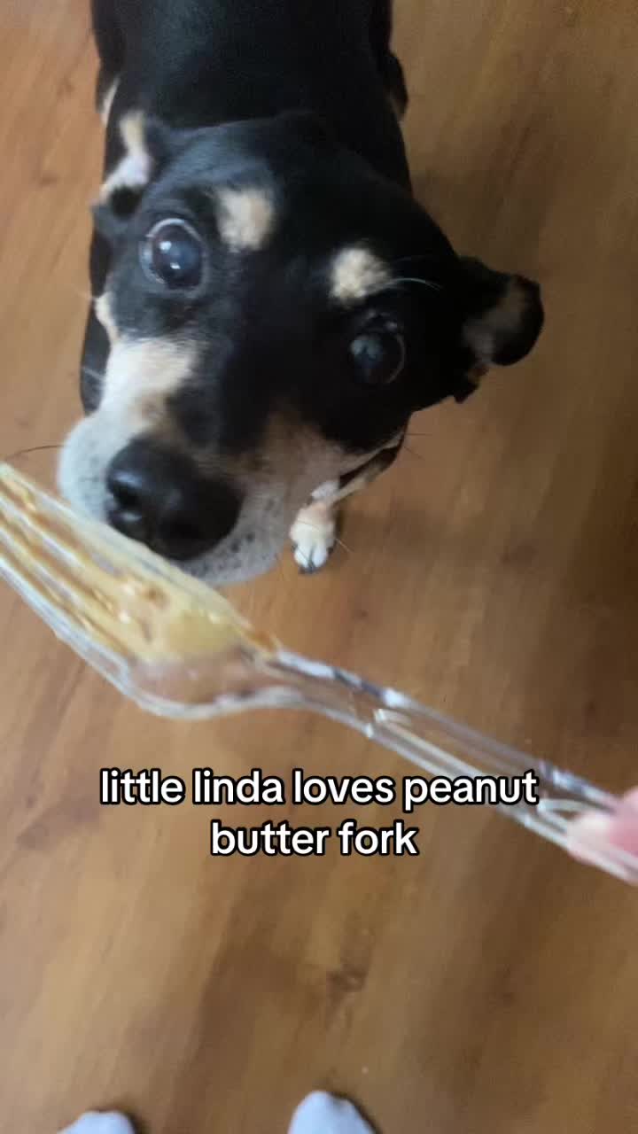 @Linda Longnips