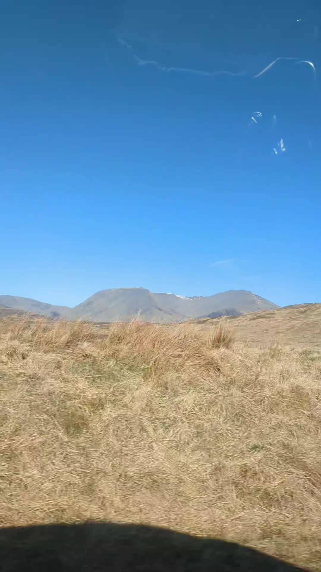 @RoosterDr&eacute;