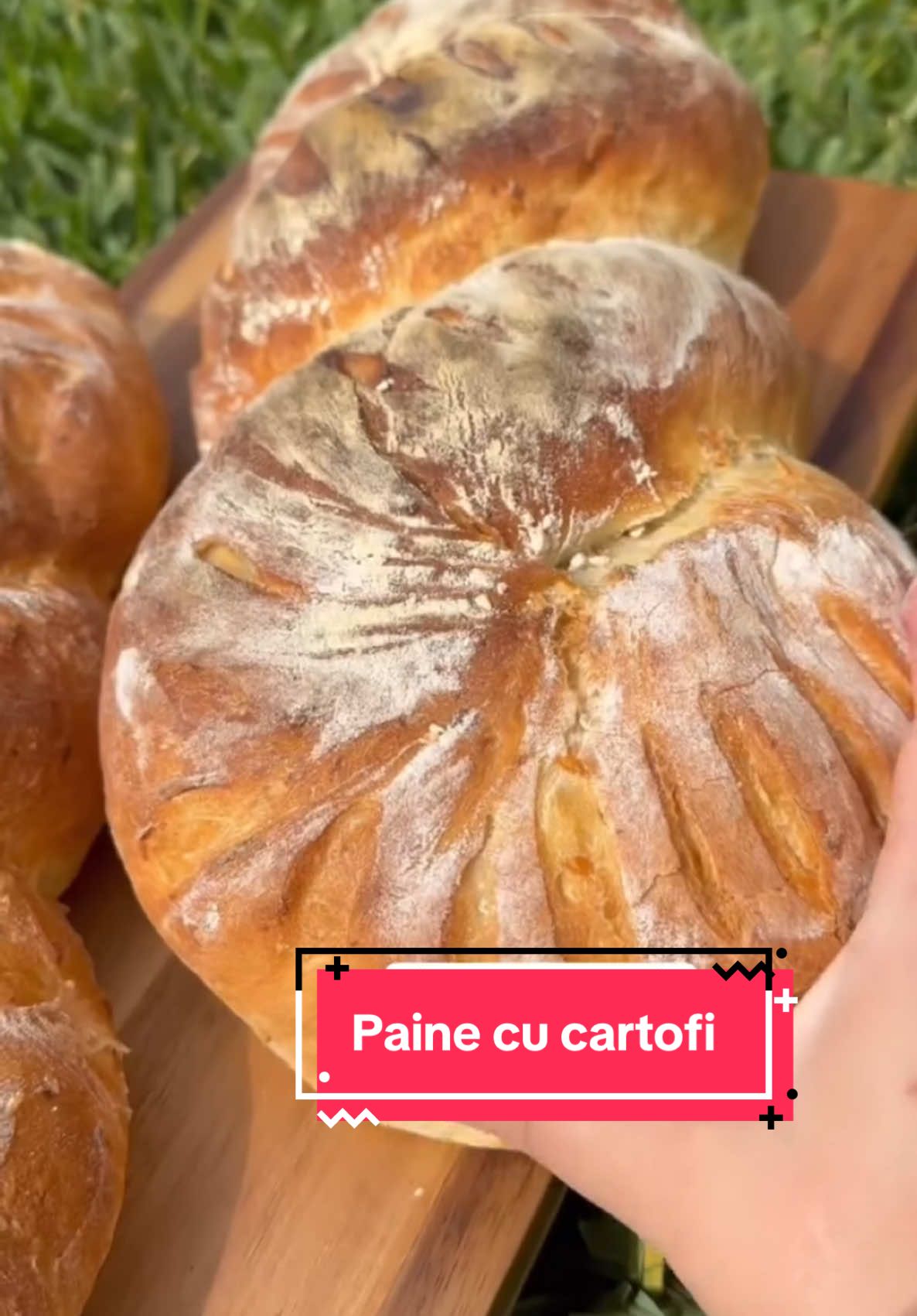 @Iamgeorgi 🍰🍞👩&zwj;🍳
