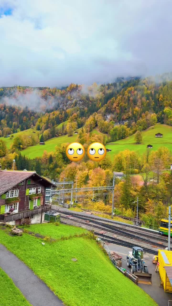 @𝐒𝐇𝐀𝐀𝐌🕊️