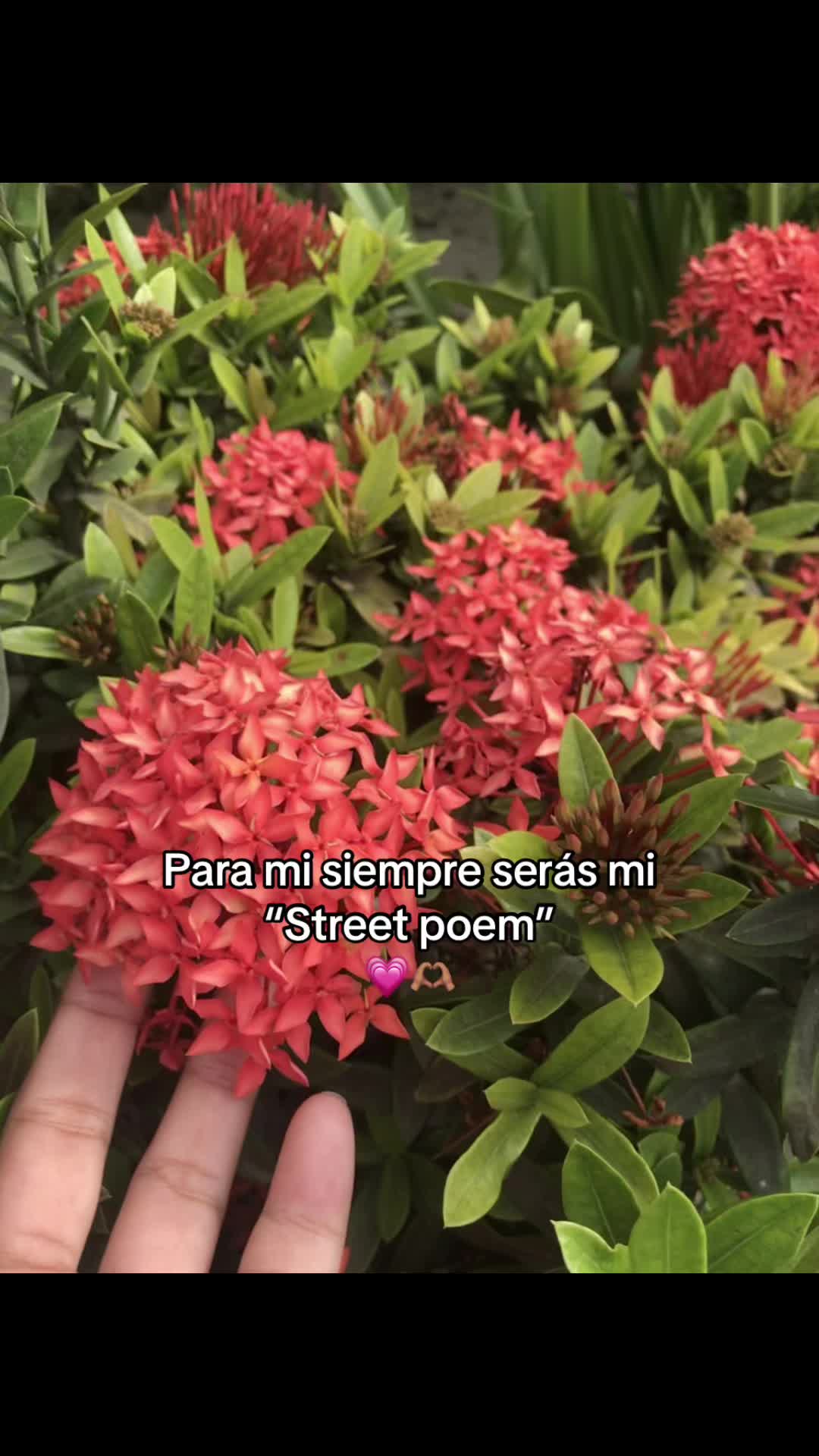 @💗!!