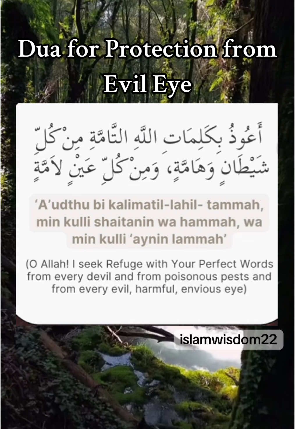 @Islam.Sunnah1
