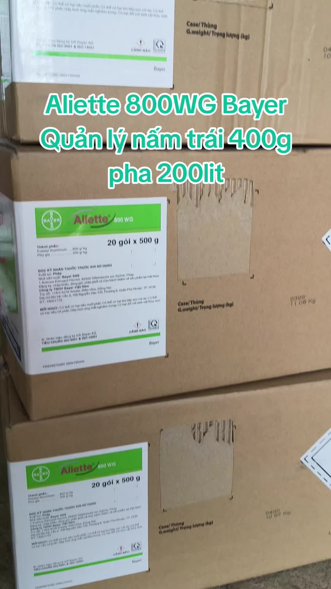 @VTNN Minh Tuấn MT