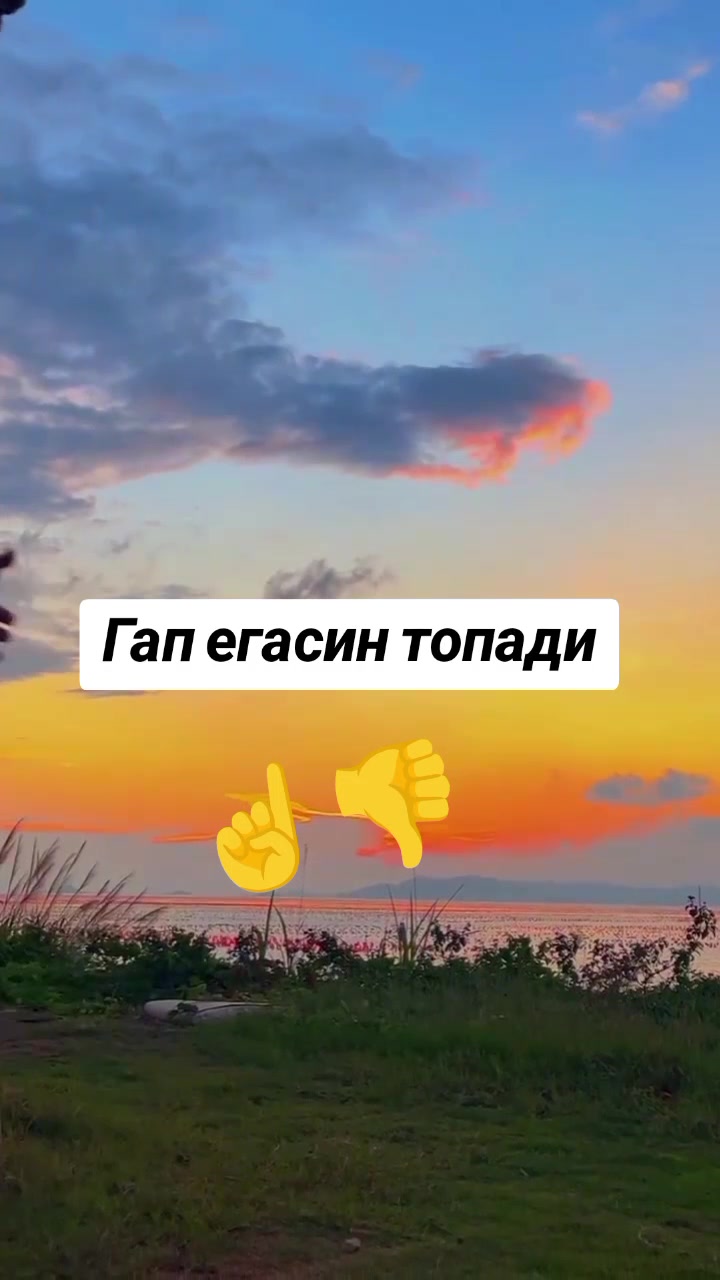 @━🦅٨ـﮩﮩـ╬━❥🕊❥💞𝕂𝕌ℕ𝕀𝕄🫴 ═
