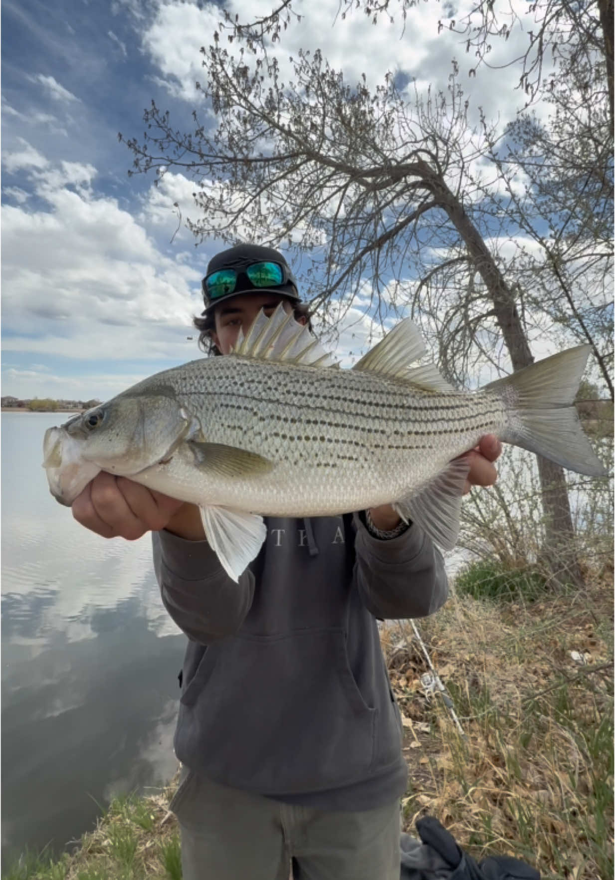 @FishGuy